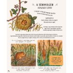 Tessloff-Babilon - Láss egyre több csodát! – Állj meg, vedd észre a természet rejtett pillanatait!