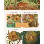 Tessloff-Babilon - Láss egyre több csodát! – Állj meg, vedd észre a természet rejtett pillanatait!