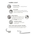 Tessloff-Babilon - Mágikus állatok iskolája 11. - Vad erdőben