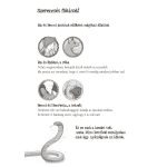 Tessloff-Babilon - Mágikus állatok iskolája 11. - Vad erdőben