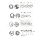 Tessloff-Babilon - Mágikus állatok iskolája 11. - Vad erdőben