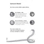 Tessloff-Babilon - Mágikus állatok iskolája 13. - Bravo, bravissimo!