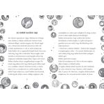 Tessloff-Babilon - Mágikus állatok iskolája – Végre vakáció! 1. – Ida és Rabbat