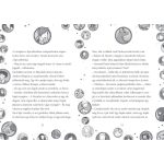 Tessloff-Babilon - Mágikus állatok iskolája – Végre vakáció! 1. – Ida és Rabbat