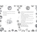 Tessloff-Babilon - Mágikus állatok iskolája – Végre vakáció! 1. – Ida és Rabbat