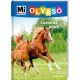 Tessloff-Babilon - Mi MICSODA Olvasó – Lovak és pónik