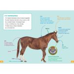 Tessloff-Babilon - Mi MICSODA Olvasó – Lovak és pónik