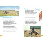 Tessloff-Babilon - Mi MICSODA Olvasó – Lovak és pónik
