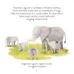 Tessloff-Babilon - Családom a vadonban – Kiselefánt