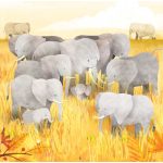 Tessloff-Babilon - Családom a vadonban – Kiselefánt