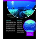 Tessloff-Babilon - Mi MICSODA Elsüllyedt kincsek – Atlantisztól a Titanicig